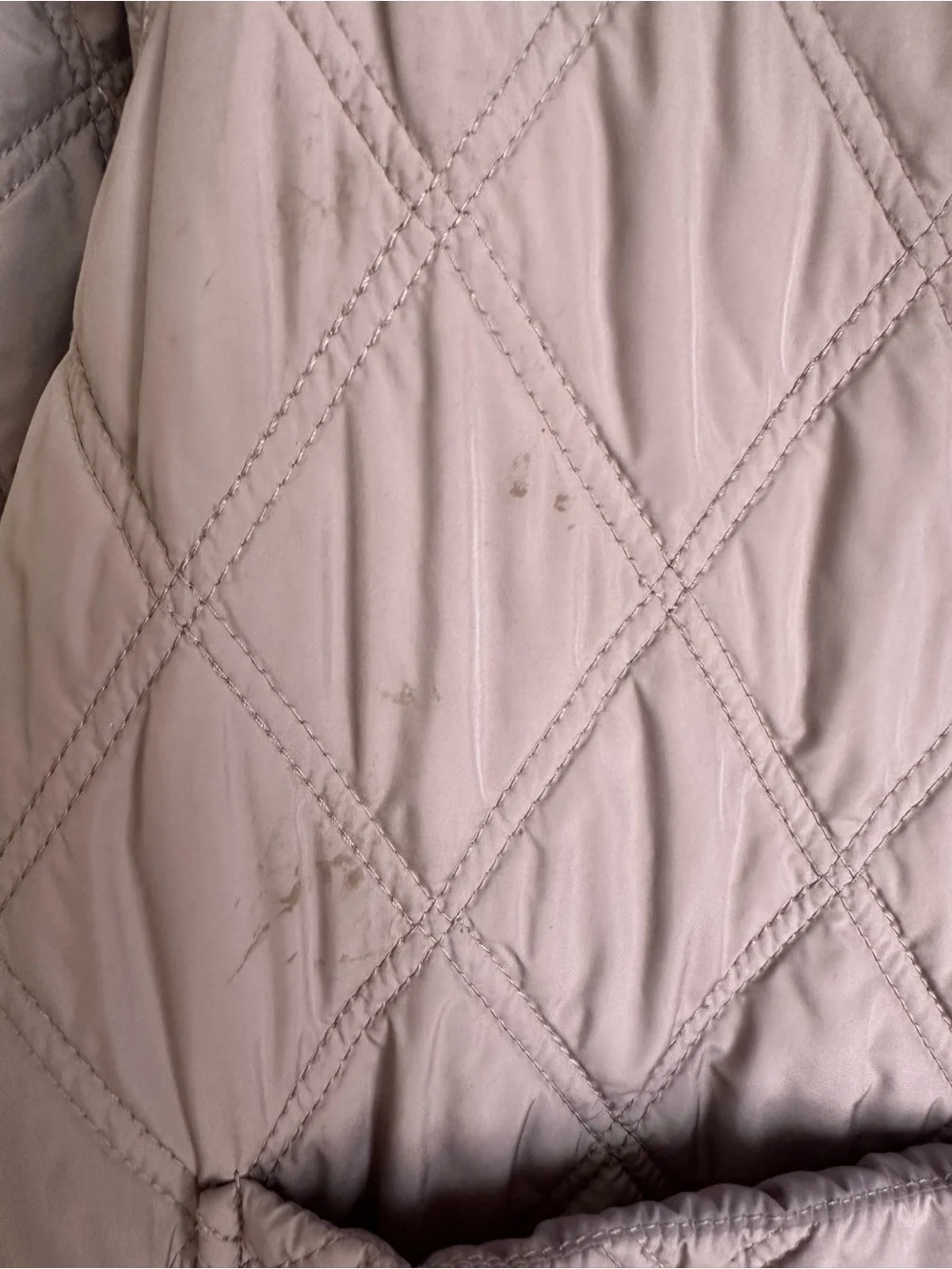 Bernardo Women's Coat in Light Gray